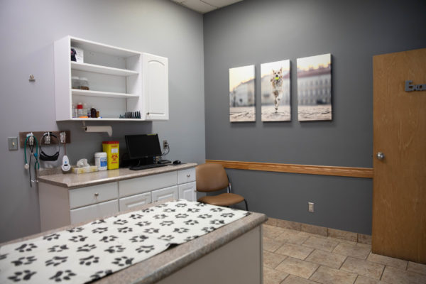 Exam Room 2 Exam Room 2