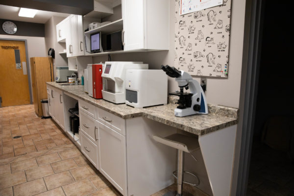 Lab Lab