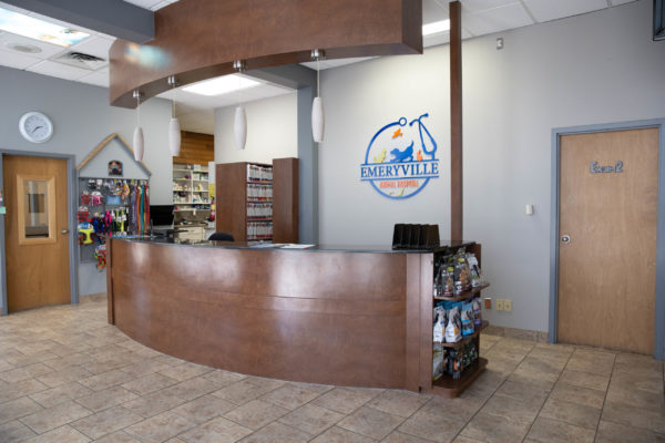 Reception Desk Reception Desk
